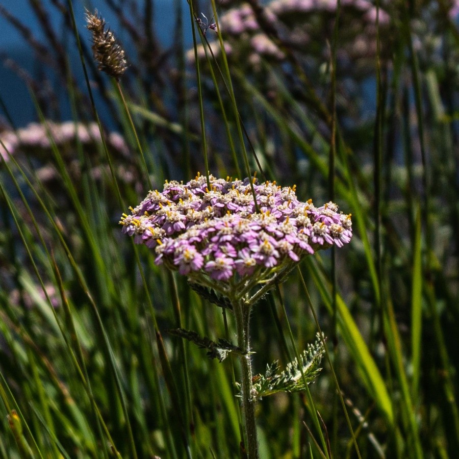 Osterspezialitäten 2026