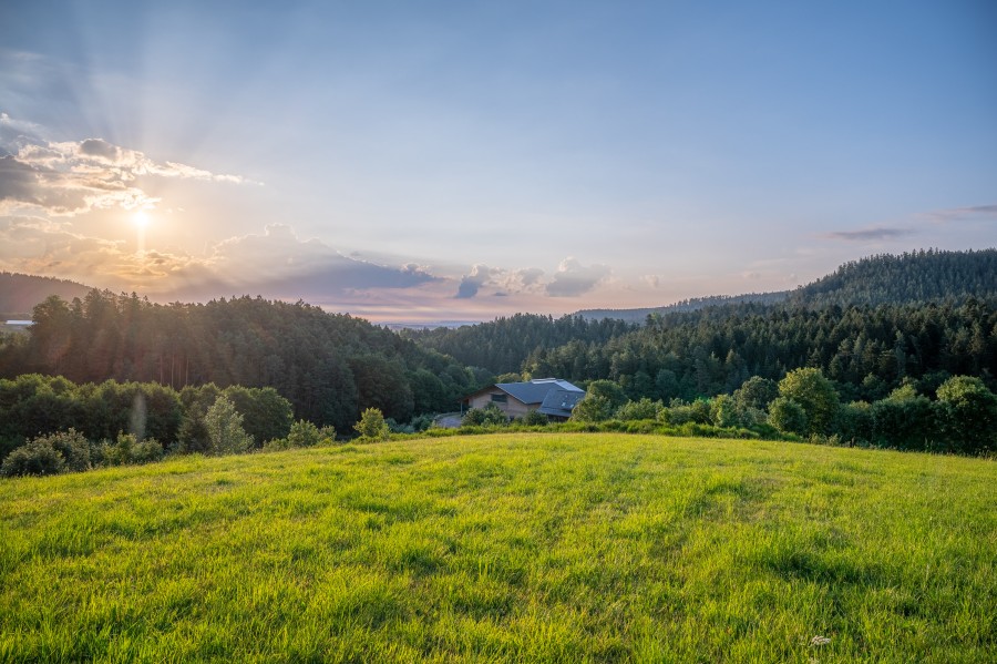 Schwarzwälder Geisserie