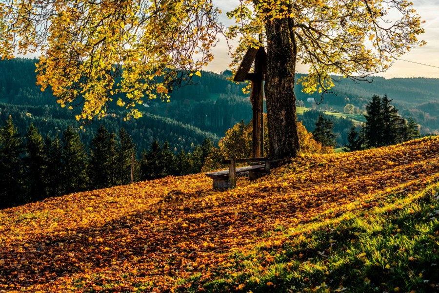 Unser Team-Verkaufsmobil macht Herbstferien